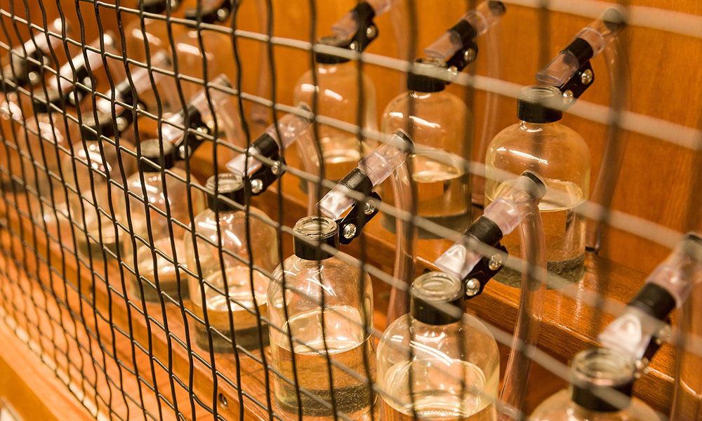 Play with a whimsical <i>Bottle Organ</i>. 