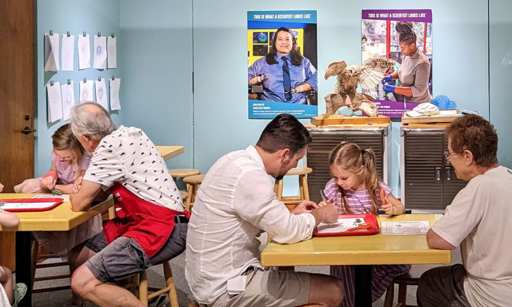 Enjoy exploring together in the Science Discovery Lab.
