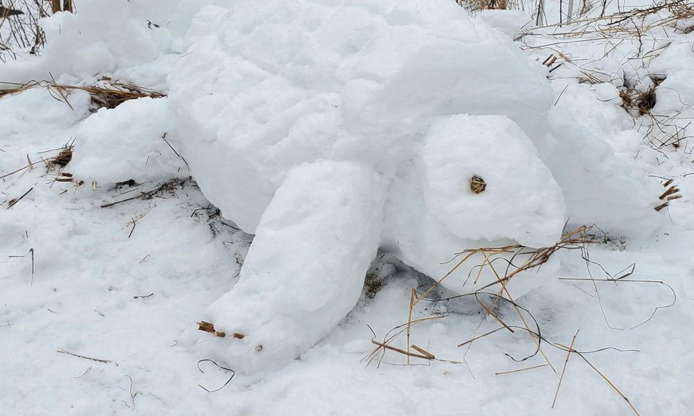 Build a snow sculpture!