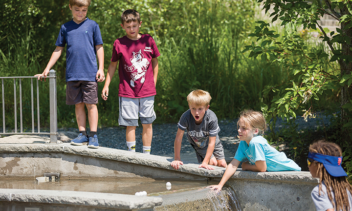 group of children playing around a shallow pool of water outside