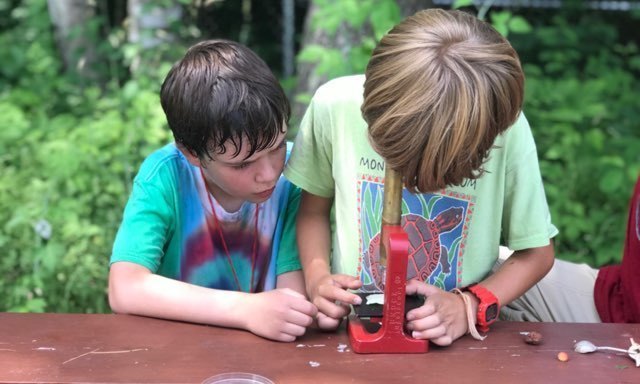 two young children looking at item outside