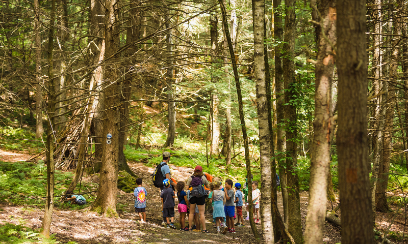 Explore the geology and ecology of the North Woods.