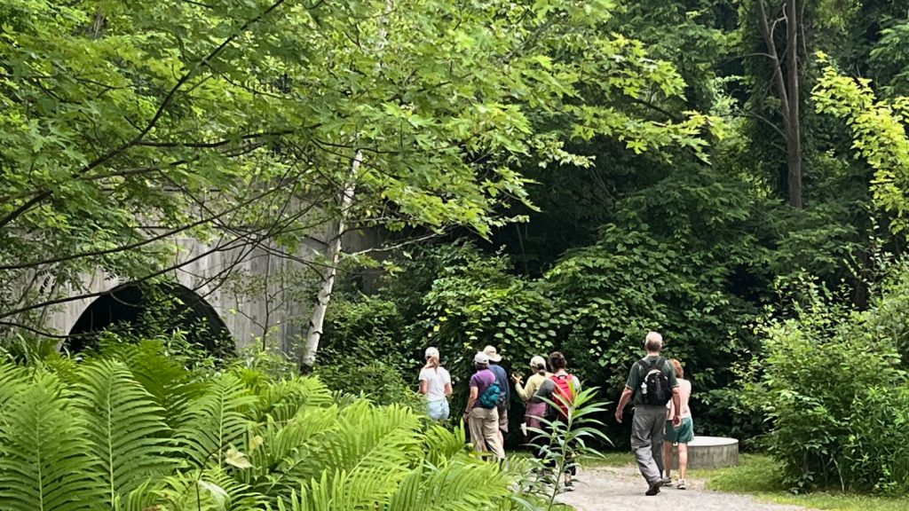 A group of adults walk toward a rail tunnel, with ferns in the foreground and leafy trees behind.