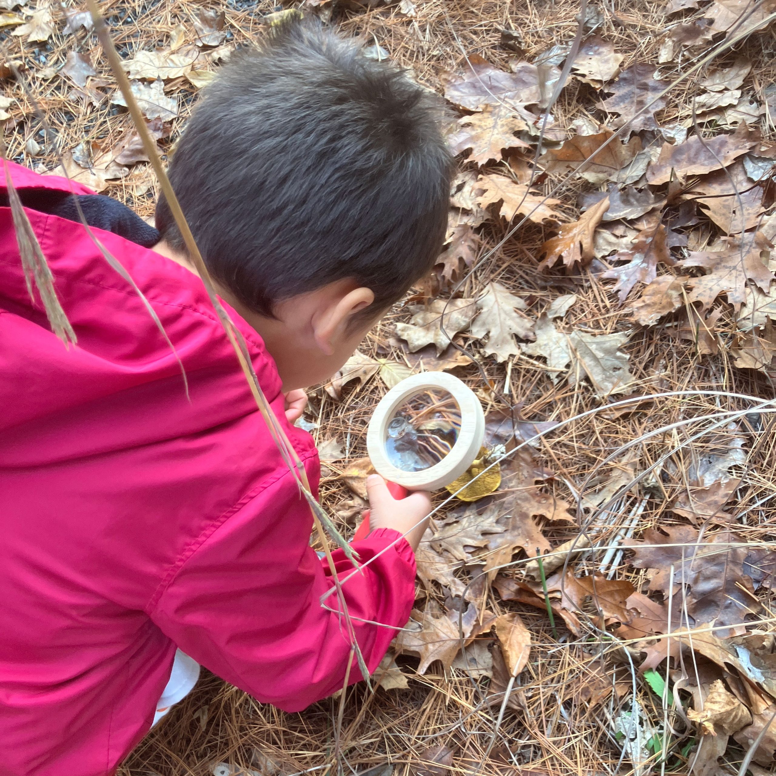 Visitors walk with a Montshire educator outside on a trail