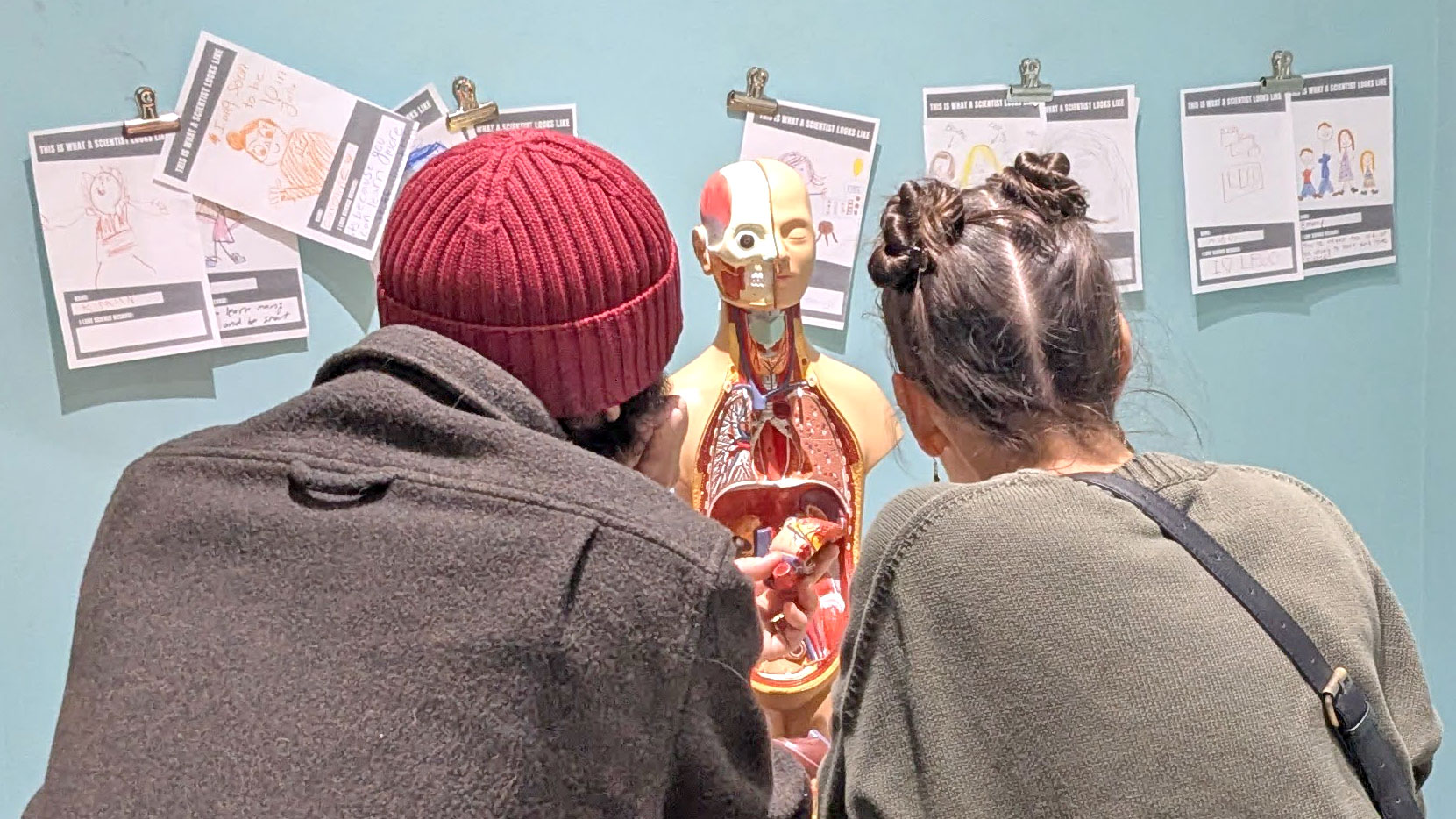 Two adult visitors study human anatomy at the Montshire