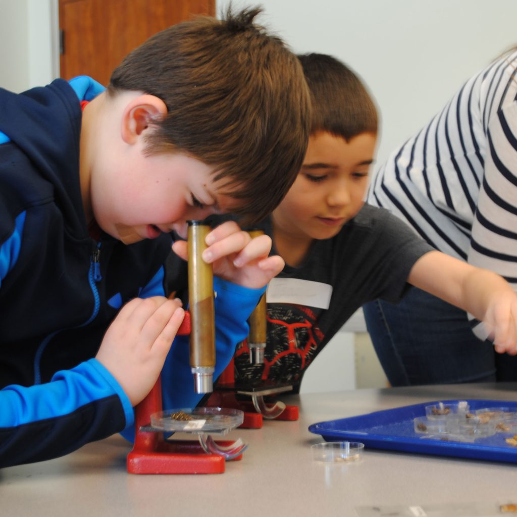 Young kids looking through microscopes