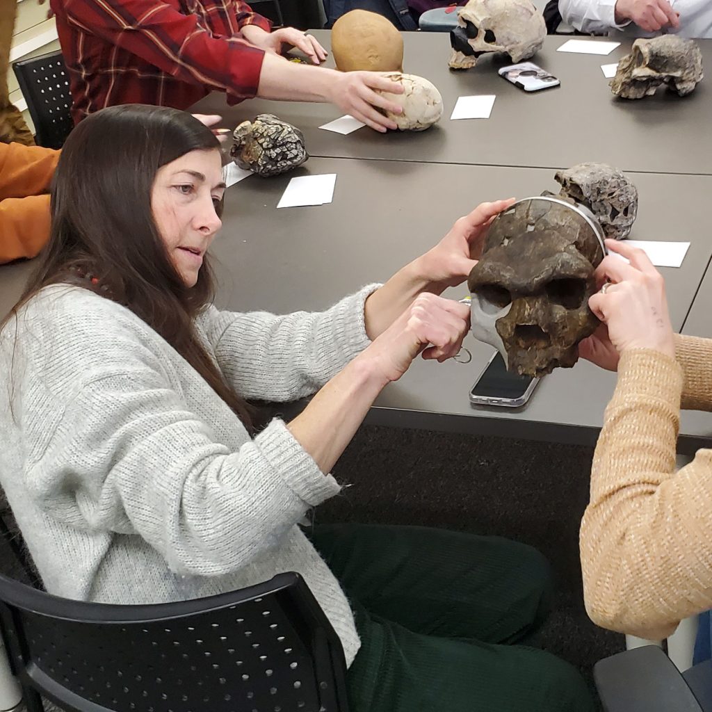 A teacher investigates a humanoid skull
