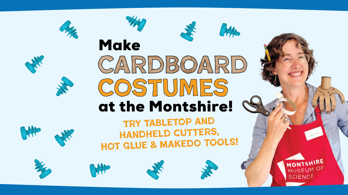 Cardboard Costumes event for October 10 and 11 2026